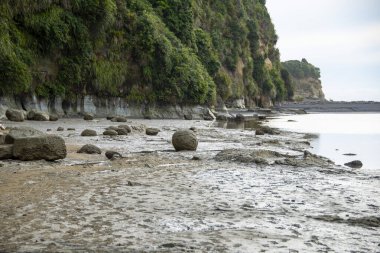 Tongaporutu Nehri - Yeni Zelanda