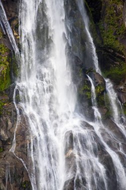 Bowen Falls in Milford Sound - New Zealand clipart