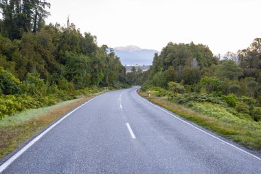 Yeni Zelanda Eyalet Otoyolu 6 (Haast Pass)
