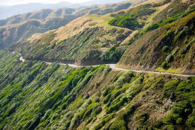 Paekakariki Tepesi Yolu - Yeni Zelanda