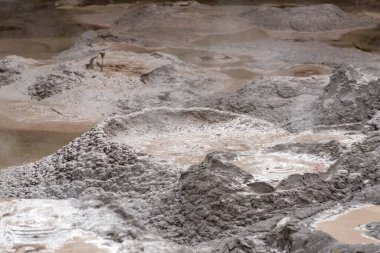 Te Puia 'daki çamur havuzları - Rotorua - Yeni Zelanda