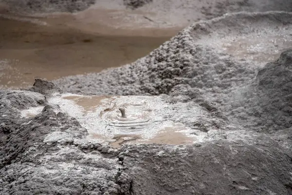 Te Puia 'daki çamur havuzları - Rotorua - Yeni Zelanda