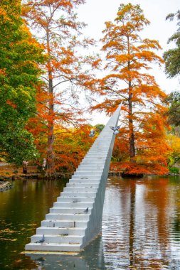 Christchurch Botanik Bahçeleri - Yeni Zelanda