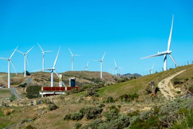 Wellington 'daki Batı Rüzgâr Çiftliği - Yeni Zelanda