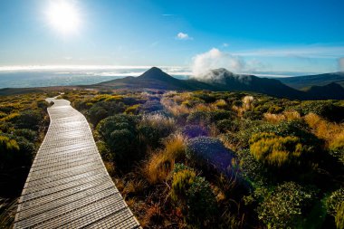 Pouakai Pisti - Yeni Zelanda