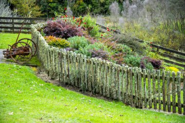 Moss ve Lichen ile Eski Çit