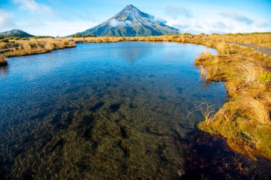 Taranaki Dağı Gözcüsü - Yeni Zelanda