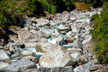 Haast Nehri - Yeni Zelanda