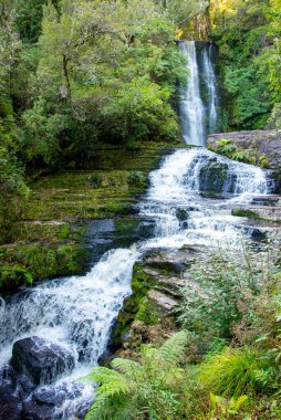 McLean Falls - Yeni Zelanda