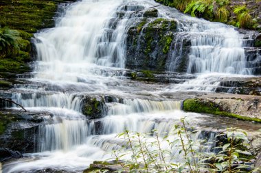 McLean Falls - Yeni Zelanda