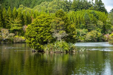 Mangamahoe Gölü - Yeni Zelanda