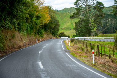 Yeni Zelanda Eyaleti Otoyolu 43 (Unutulan Dünya Otoyolu)