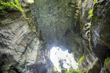 Mangapohue Doğal Köprüsü - Yeni Zelanda