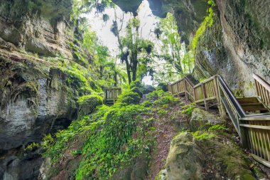 Mangapohue Doğal Köprüsü - Yeni Zelanda