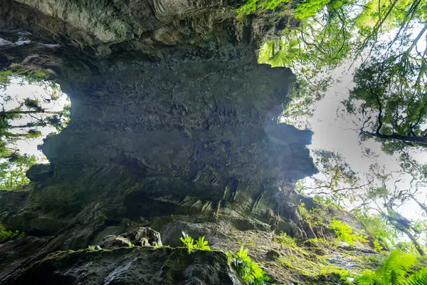 Mangapohue Doğal Köprüsü - Yeni Zelanda