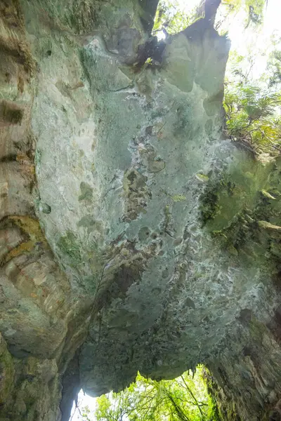 stock image Mangapohue Natural Bridge - New Zealand