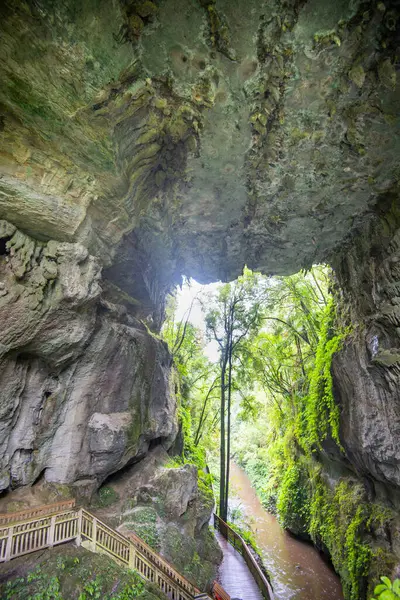 stock image Mangapohue Natural Bridge - New Zealand