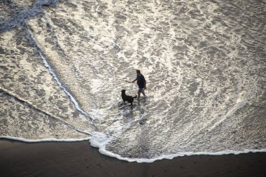 Yeni Plymouth, Paritutu Plajında Köpekli Adam - Yeni Zelanda