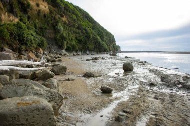 Tongaporutu Nehri - Yeni Zelanda