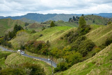 Taranaki Bölgesindeki Koyun Otlağı - Yeni Zelanda