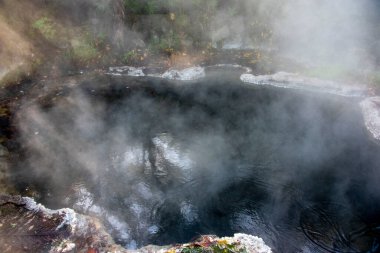 Kuirau Jeotermal Parkı - Rotorua - Yeni Zelanda