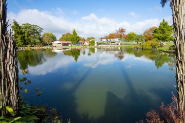 Kuirau Jeotermal Parkı - Rotorua - Yeni Zelanda