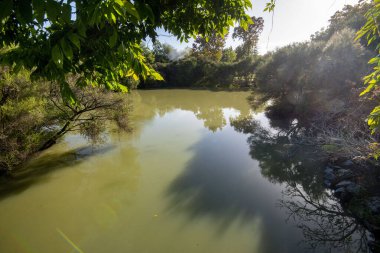 Kuirau Jeotermal Parkı - Rotorua - Yeni Zelanda