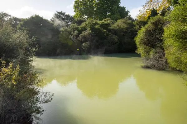 Kuirau Jeotermal Parkı - Rotorua - Yeni Zelanda