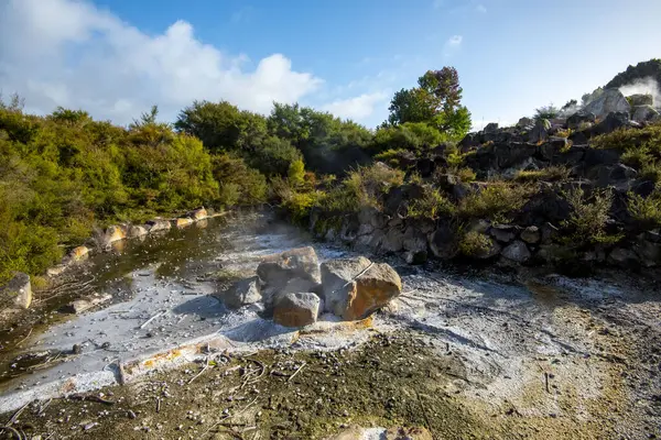Kuirau Jeotermal Parkı - Rotorua - Yeni Zelanda