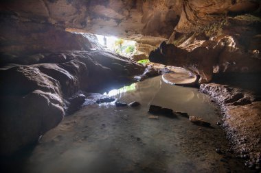 Waipu Mağarası - Yeni Zelanda