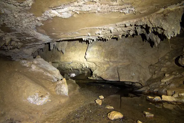 stock image Waipu Cave - New Zealand