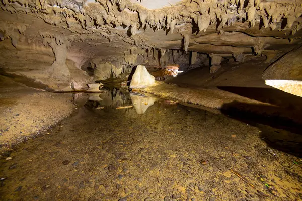 stock image Waipu Cave - New Zealand