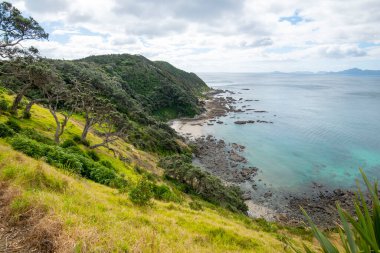 Mangawhai Cliff Walk - New Zealand clipart