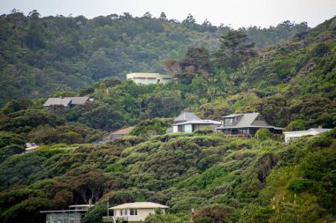 Piha 'daki Konutlar - Yeni Zelanda