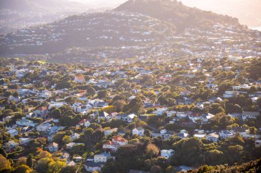 Wellington 'daki Konutlar - Yeni Zelanda