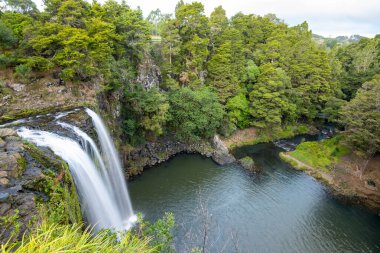 Whangarei Falls - Yeni Zelanda