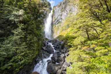 Devils Punchbowl Şelalesi - Yeni Zelanda