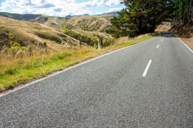 Masterton Castlepoint Yolu - Yeni Zelanda
