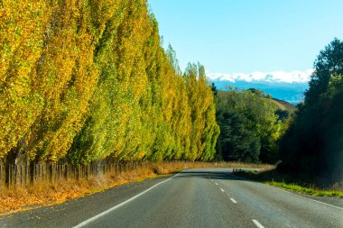 Masterton Castlepoint Yolu - Yeni Zelanda