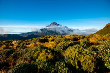 Taranaki Dağı - Yeni Zelanda