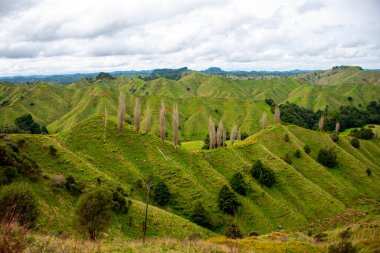 Tahora Saddle - Yeni Zelanda