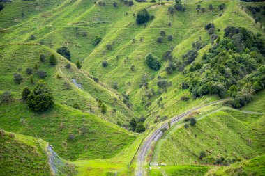 Tahora Saddle - Yeni Zelanda