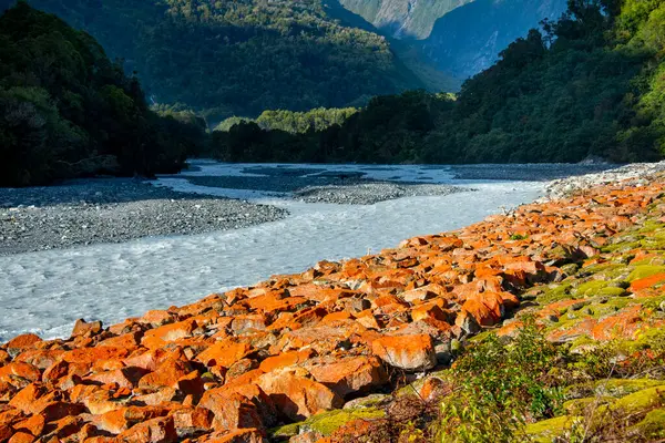 stock image Waiho River - New Zealand