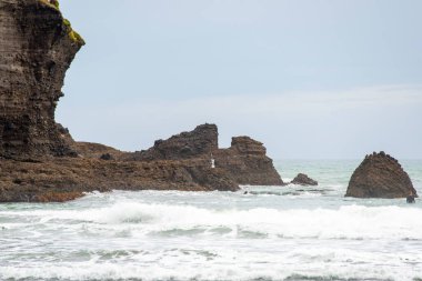 Piha Sahili 'ndeki Taitamo Kayası - Yeni Zelanda