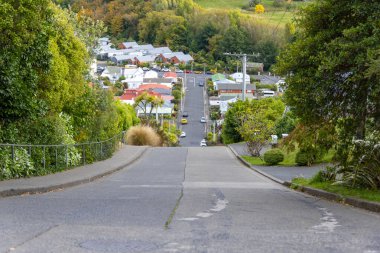 Dünyanın en dik sokağı - Dunedin - Yeni Zelanda