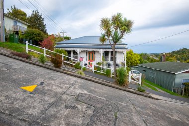 Dünyanın en dik sokağı - Dunedin - Yeni Zelanda