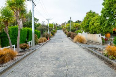 Dünyanın en dik sokağı - Dunedin - Yeni Zelanda