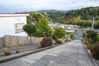 Steepest Street in the World - Dunedin - New Zealand clipart