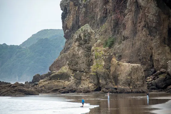 stock image Taitamo Rock on Piha Beach - New Zealand