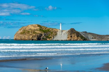 Castlepoint Lighthouse - New Zealand clipart